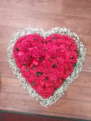 red carnation gypsy heart